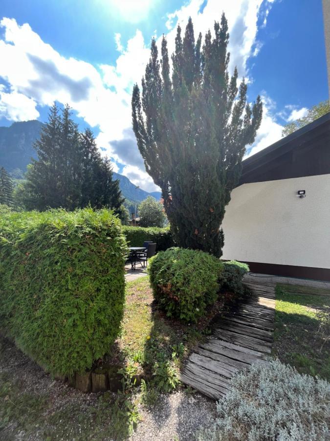 Pod Galetovcem Daire Bohinjska Bela Dış mekan fotoğraf